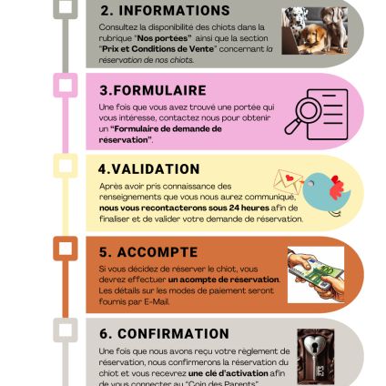 Chiots dalmatiens disponibles #5