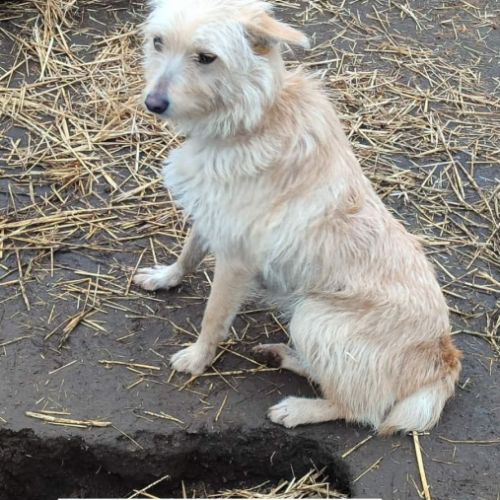 Herba se trouve dans un rfuge en ukraine