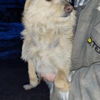 Herba se trouve dans un rfuge en ukraine #1