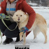 Herba se trouve dans un rfuge en ukraine #2