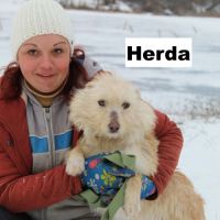 Herba se trouve dans un rfuge en ukraine #4