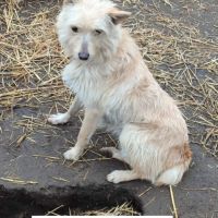 Herba se trouve dans un rfuge en ukraine #2