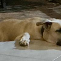 Rio, je rêve de mon futur foyer #2