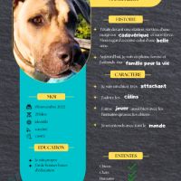 Rio, je rêve de mon futur foyer #3