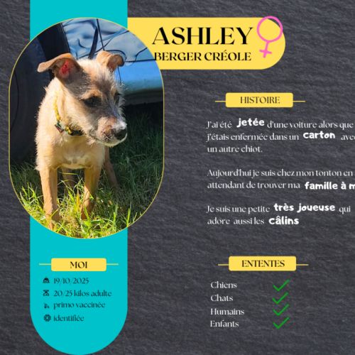 Ashley, joueuse, câline et toujours insouciante #0