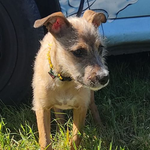 Ashley, joueuse, câline et toujours insouciante #4