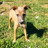 Ashley, joueuse, câline et toujours insouciante #2