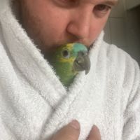 Amazon à front bleu