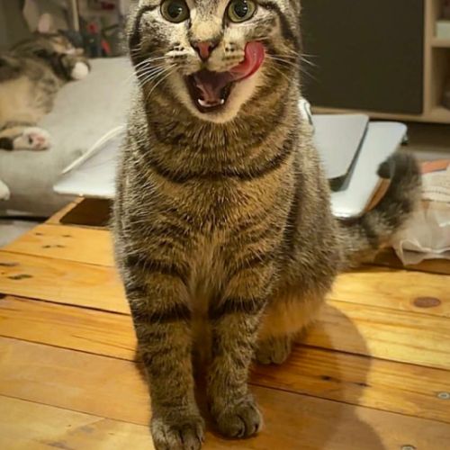 Tia-junior gourmande ! #6