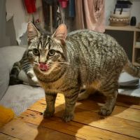 Tia-junior gourmande !