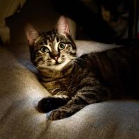 Tia-junior gourmande ! #3