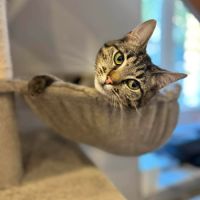 Tia-junior gourmande !