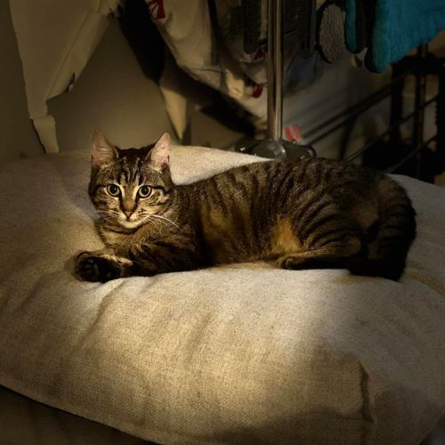 Junior gourmande-tia #1