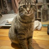 Junior gourmande-tia #5