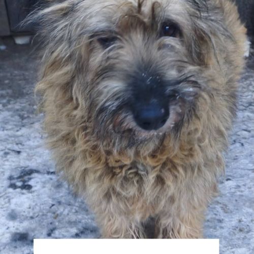 Juliette se trouve dans un refuge en ukraine #1