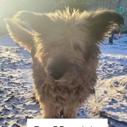 Juliette se trouve dans un refuge en ukraine #2