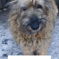 Juliette se trouve dans un refuge en ukraine #1