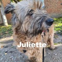 Juliette se trouve dans un refuge en ukraine #3