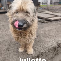 Juliette se trouve dans un refuge en ukraine #0