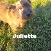 Juliette se trouve dans un refuge en ukraine #5