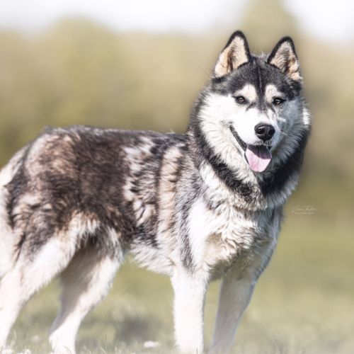 Belle attend sa famille pour la vie #0