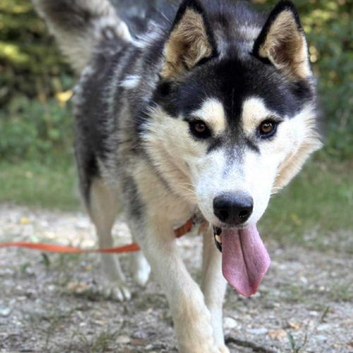 Belle attend sa famille pour la vie #2