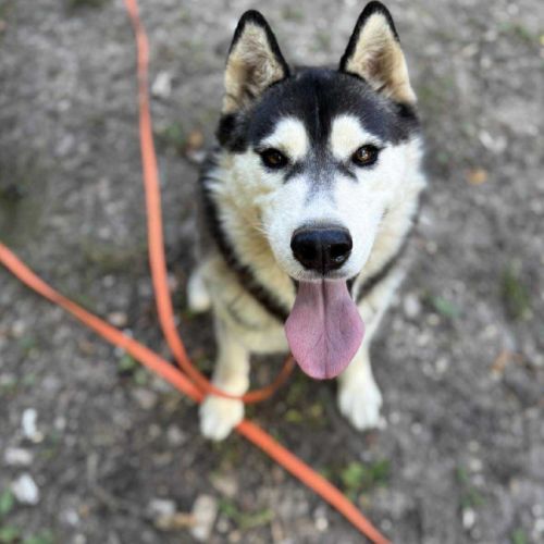 Belle attend sa famille pour la vie #3