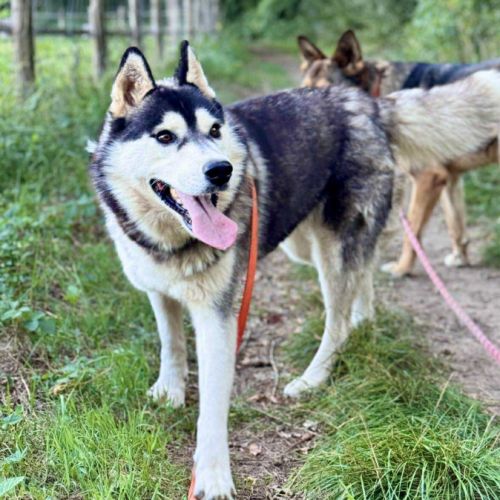 Belle attend sa famille pour la vie #4