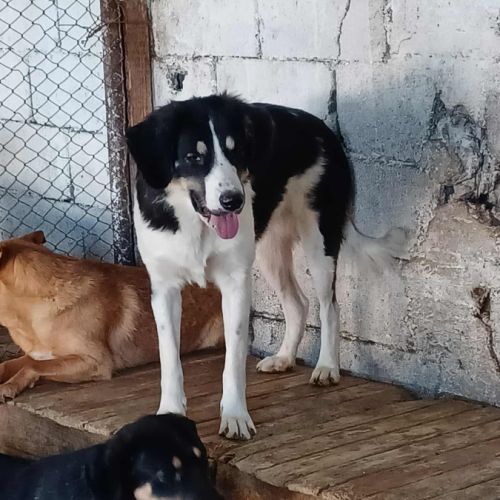 Belle attend sa famille pour la vie #6