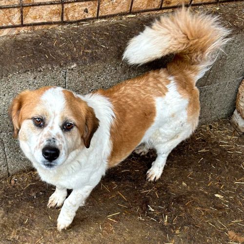 Yaka rêve d'une famille pour la vie #2