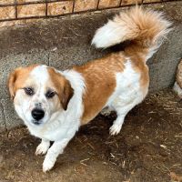 Yaka rêve d'une famille pour la vie #2