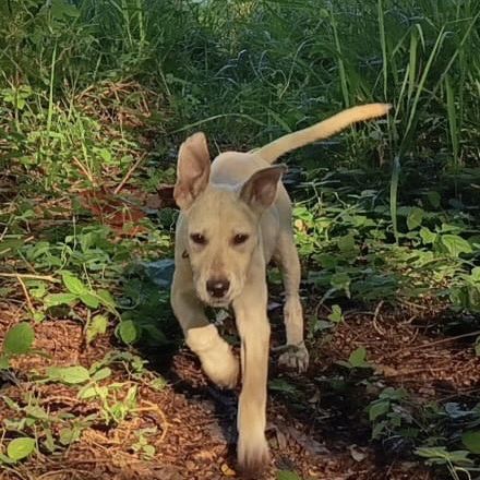 Moi la belle sunka #0