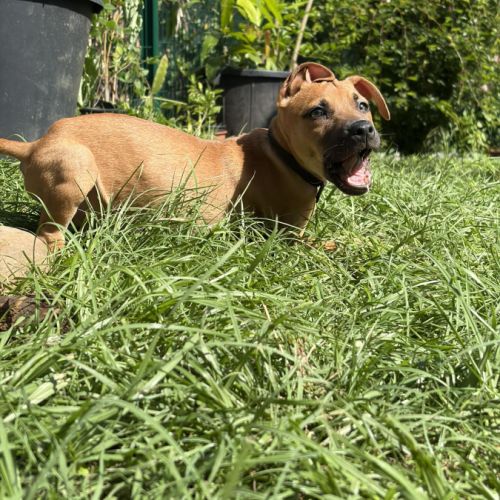 Nusty le bout de chou #2