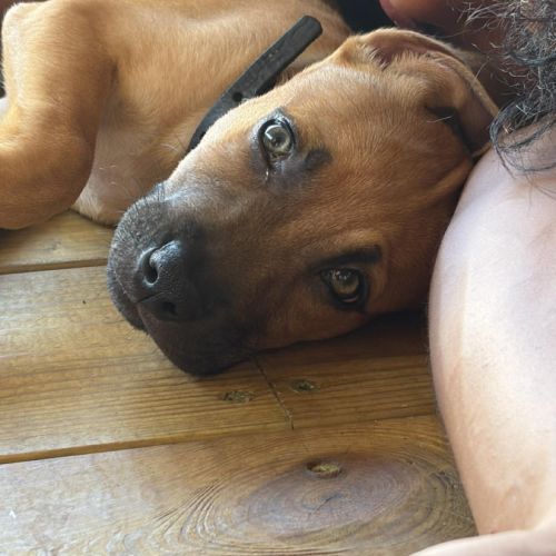 Nusty le bout de chou #6