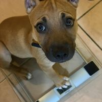 Nusty le bout de chou #0