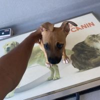 Nusty le bout de chou #3