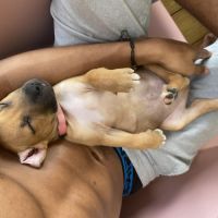 Nusty le bout de chou #4