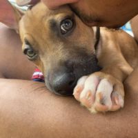 Nusty le bout de chou #5