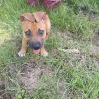 Nusty le bout de chou #7