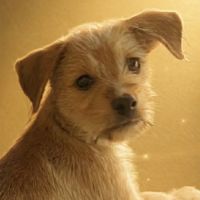 Noisette, j'ai besoin d'amour #1