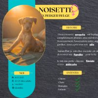 Noisette, j'ai besoin d'amour
