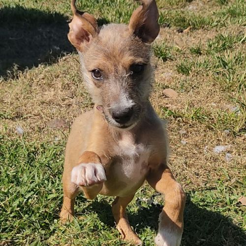 Ashley, la joie de vivre #2