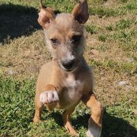 Ashley, la joie de vivre #2