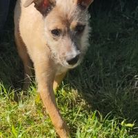 Ashley, la joie de vivre #4