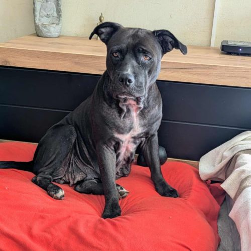 Paty, le rayon de douceur