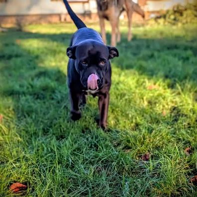 Paty, le rayon de douceur #8