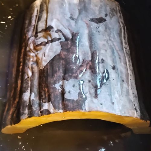 2 tortues pelomedusa avec habitat semis aquatique #3