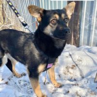 Cherrie se trouve dans un refuge en ukraine #3