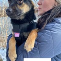 Cherrie se trouve dans un refuge en ukraine #4