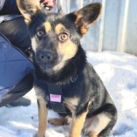 Cherrie se trouve dans un refuge en ukraine #5